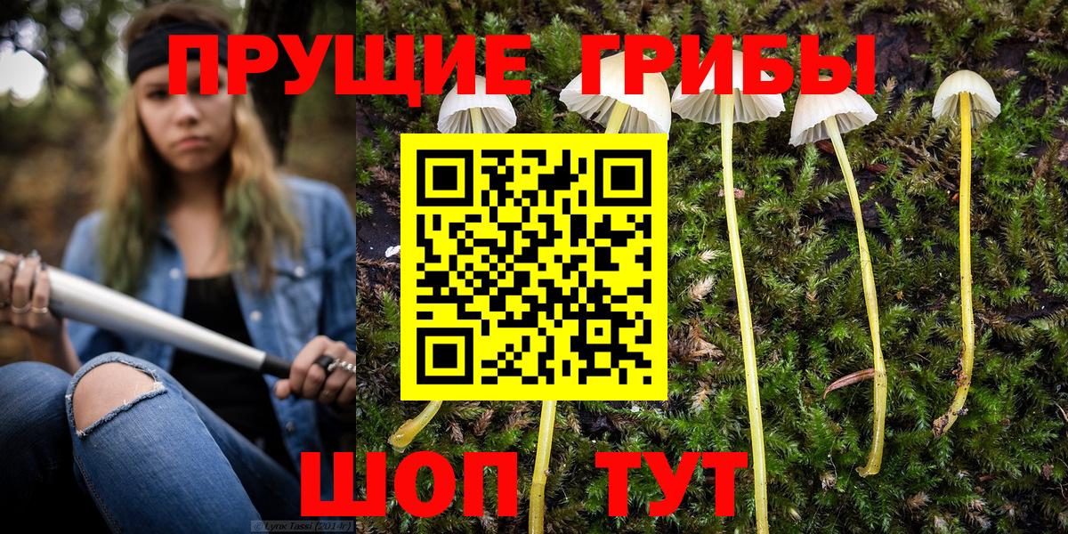 Галлюциногенные грибы прущие грибы Сегежа