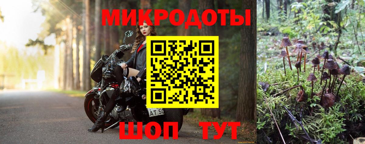 где купить наркоту  Галлюциногенные грибы мицелий  Сегежа  Вход с VPN  Псилоцибиновые грибы GOLDEN TEACHER 