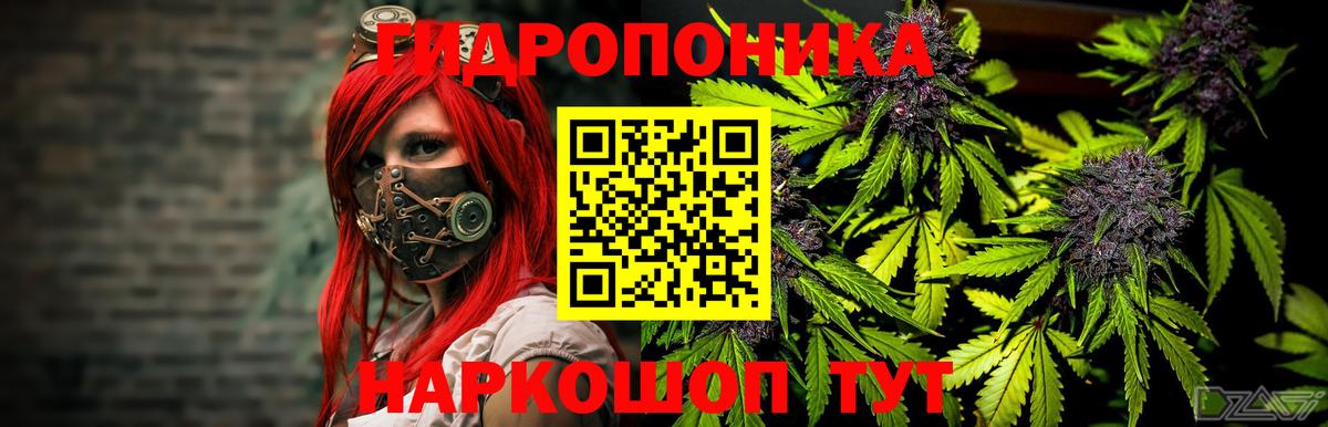 Бошки марихуана конопля  Вход с VPN  Сегежа  Шишки марихуана VHQ  Конопля планчик 